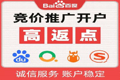 竞价推广策略解析：实战案例分析